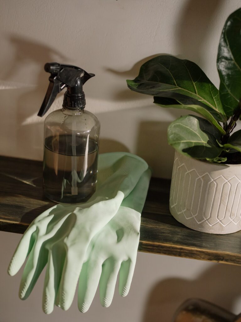 Green gloves, Green plants and gray spray bottle on wooden shelf
